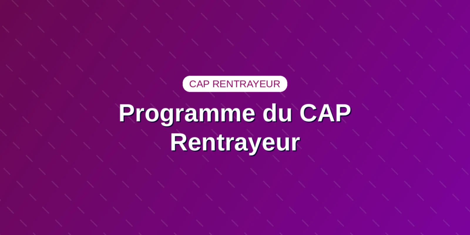 Programme du CAP Rentrayeur : guide officiel et épreuves Couverture : Programme de formation, options tapis et tapisseries et épreuves du CAP Rentrayeur